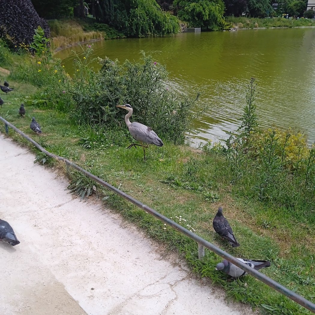 Sentier du bord de l'Eau 2
